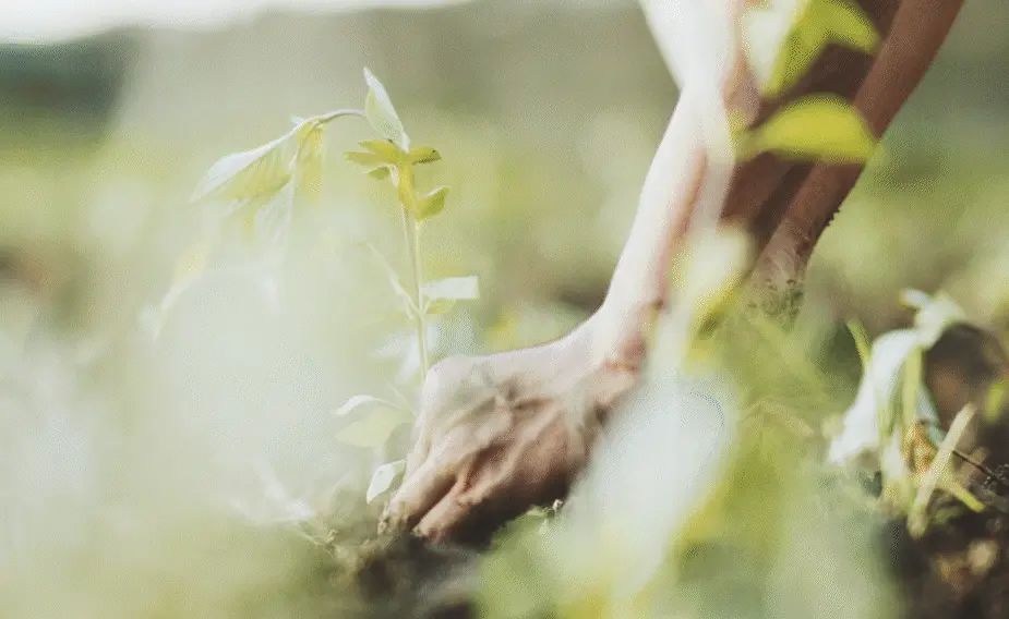 Limagrain Türkiye 40. Yıl Lansman Filmi